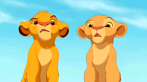 lionkinghuh.gif